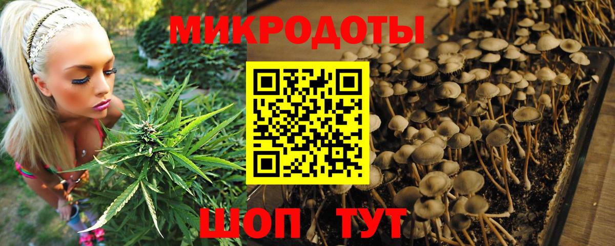 Джанкой  Галлюциногенные грибы Psilocybe  Вход с VPN 